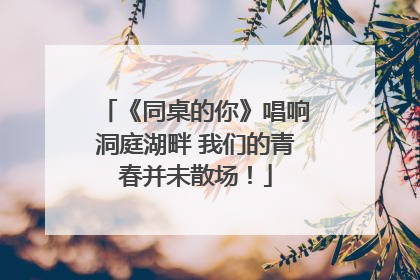 《同桌的你》唱响洞庭湖畔 我们的青春并未散场！