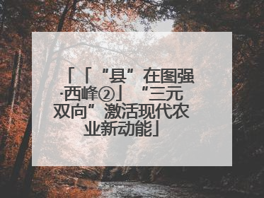 「“县”在图强·西峰②」“三元双向”激活现代农业新动能