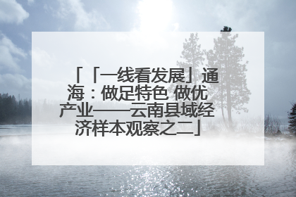「一线看发展」通海：做足特色 做优产业——云南县域经济样本观察之二