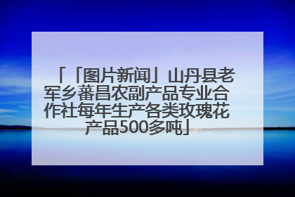 「图片新闻」山丹县老军乡蕃昌农副产品专业合作社每年生产各类玫瑰花产品500多吨
