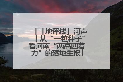 「地评线」河声丨从“一粒种子”看河南“两高四着力”的落地生根