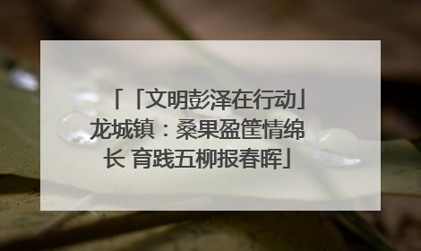 「文明彭泽在行动」龙城镇：桑果盈筐情绵长 育践五柳报春晖