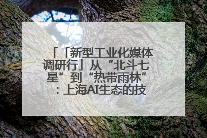 「新型工业化媒体调研行」从“北斗七星”到“热带雨林”：上海AI生态的技术商业共生密码