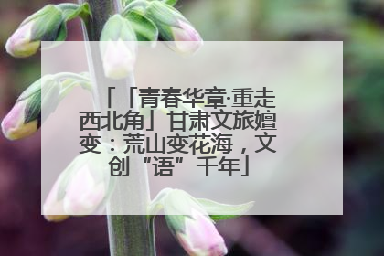 「青春华章·重走西北角」甘肃文旅嬗变：荒山变花海，文创“语”千年