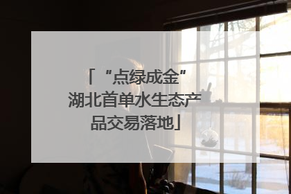“点绿成金” 湖北首单水生态产品交易落地