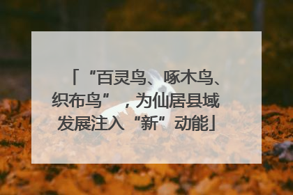 “百灵鸟、啄木鸟、织布鸟”，为仙居县域发展注入“新”动能