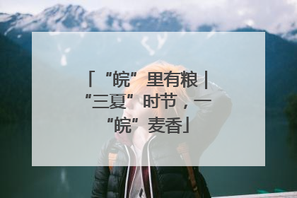 “皖”里有粮｜“三夏”时节，一“皖”麦香