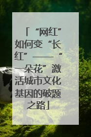 “网红”如何变“长红”——“一朵花”激活城市文化基因的破题之路
