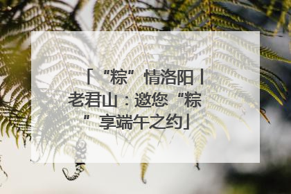 “粽”情洛阳丨老君山：邀您“粽”享端午之约