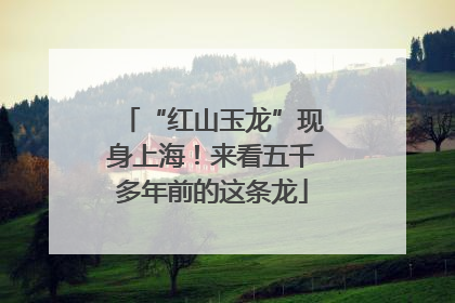 “红山玉龙”现身上海！来看五千多年前的这条龙