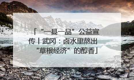 “一县一品”公益宣传丨武冈：卤水里熬出“草根经济”的醇香