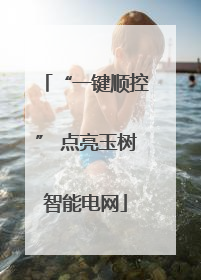 “一键顺控” 点亮玉树智能电网