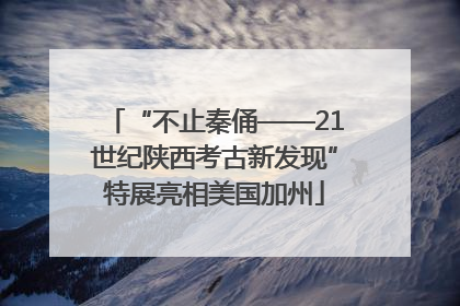 “不止秦俑——21世纪陕西考古新发现”特展亮相美国加州