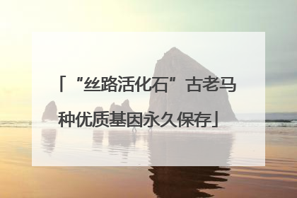 “丝路活化石”古老马种优质基因永久保存