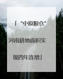 “中原粮仓”河南耕地面积实现四年连增