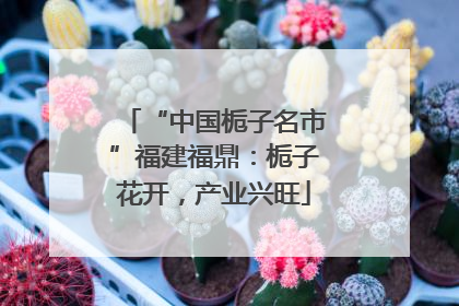 “中国栀子名市”福建福鼎：栀子花开，产业兴旺