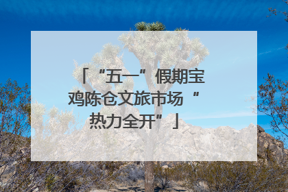 “五一”假期宝鸡陈仓文旅市场“热力全开”