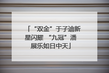“双金”于子迪新星闪耀 “九冠”潘展乐如日中天