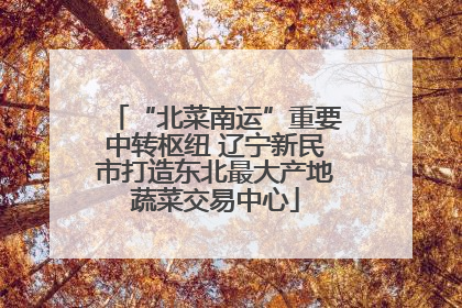 “北菜南运”重要中转枢纽 辽宁新民市打造东北最大产地蔬菜交易中心