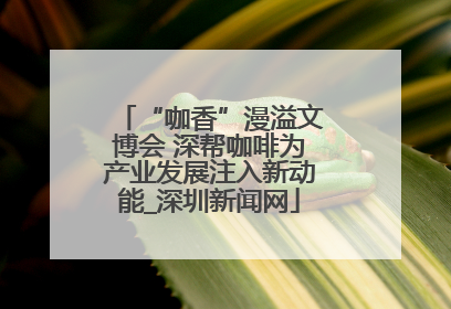 “咖香”漫溢文博会 深帮咖啡为产业发展注入新动能_深圳新闻网