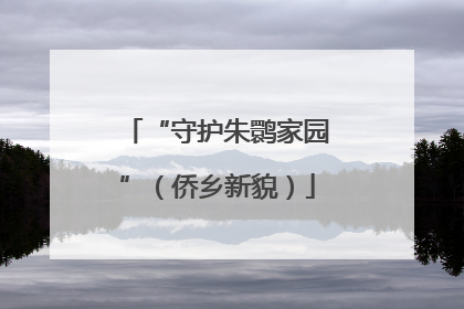 “守护朱鹮家园”（侨乡新貌）