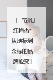 “彭阳红梅杏”从地标到金标的品牌蜕变