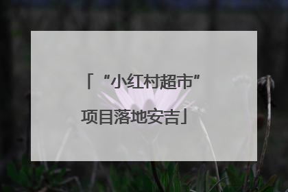 “小红村超市”项目落地安吉