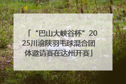“巴山大峡谷杯”2025川渝陕羽毛球混合团体邀请赛在达州开赛