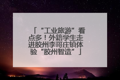 “工业旅游”看点多！外籍学生走进胶州李哥庄镇体验“胶州智造”