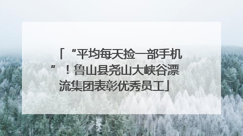 “平均每天捡一部手机”！鲁山县尧山大峡谷漂流集团表彰优秀员工