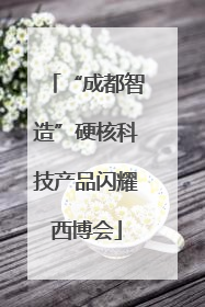 “成都智造”硬核科技产品闪耀西博会