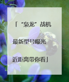“枭龙”战机最新型号曝光 近距离带你看