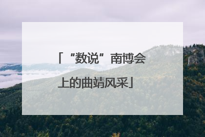 “数说”南博会上的曲靖风采