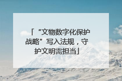 “文物数字化保护战略”写入法规，守护文明需担当