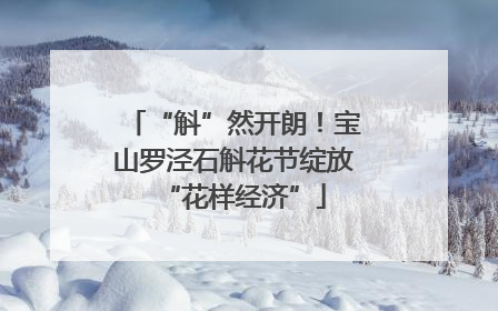 “斛”然开朗！宝山罗泾石斛花节绽放“花样经济”