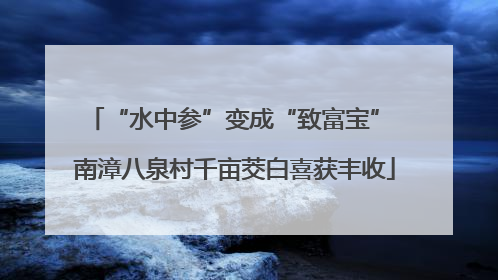 “水中参”变成“致富宝” 南漳八泉村千亩茭白喜获丰收
