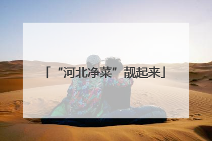 “河北净菜”靓起来