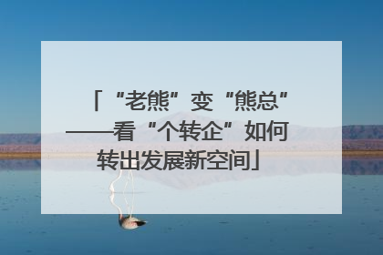 “老熊”变“熊总”——看“个转企”如何转出发展新空间