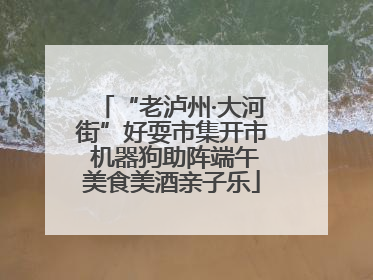 “老泸州·大河街”好耍市集开市 机器狗助阵端午美食美酒亲子乐