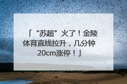 “苏超”火了！金陵体育直线拉升，几分钟20cm涨停！