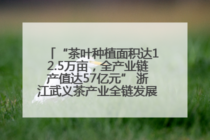 “茶叶种植面积达12.5万亩，全产业链产值达57亿元” 浙江武义茶产业全链发展“加速度”