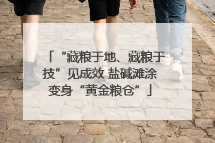 “藏粮于地、藏粮于技”见成效 盐碱滩涂变身“黄金粮仓”