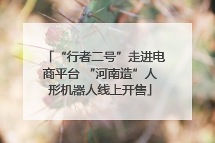 “行者二号”走进电商平台 “河南造”人形机器人线上开售