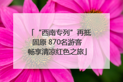 “西南专列”再抵固原 870名游客畅享清凉红色之旅