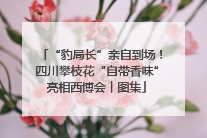 “豹局长”亲自到场！四川攀枝花“自带香味”亮相西博会丨图集