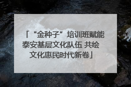 “金种子”培训班赋能泰安基层文化队伍 共绘文化惠民时代新卷