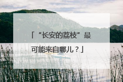 “长安的荔枝”最可能来自哪儿？
