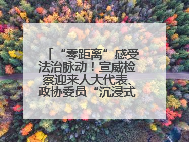 “零距离”感受法治脉动！宣威检察迎来人大代表、政协委员“沉浸式”体验