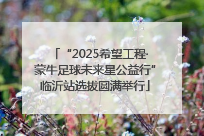“2025希望工程·蒙牛足球未来星公益行”临沂站选拔圆满举行