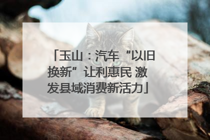玉山：汽车“以旧换新”让利惠民 激发县域消费新活力